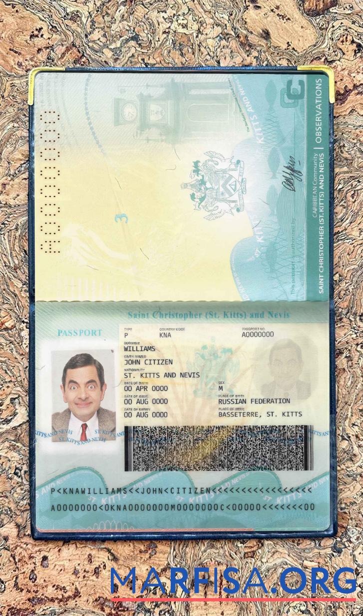 Realistic Saint Kitts and Nevis passport photo look example